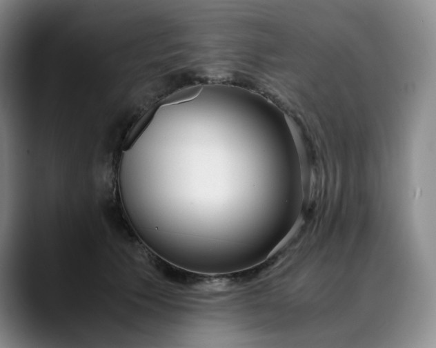 X0000089890609200707121832