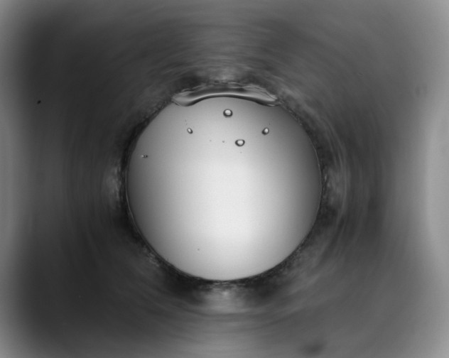 X0000089890612200707121832