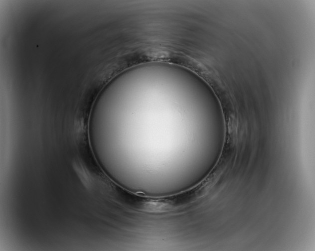 X0000089890614200707121832