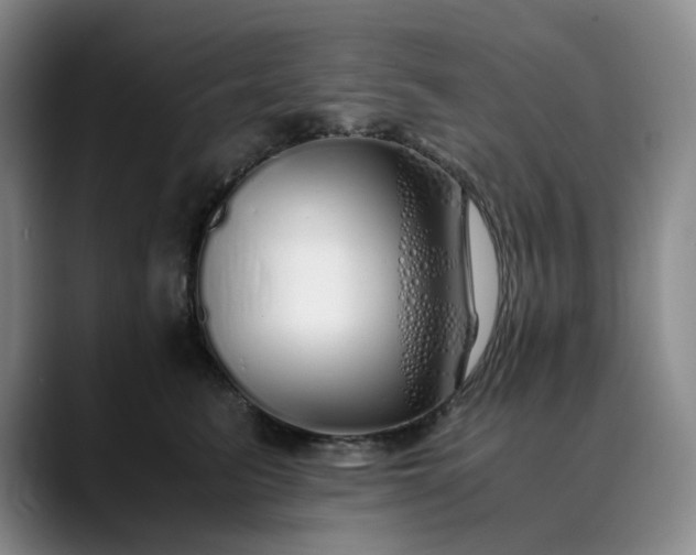 X0000089890615200707121832