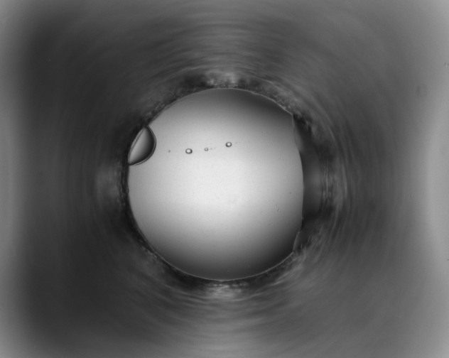 X0000089890616200707121832