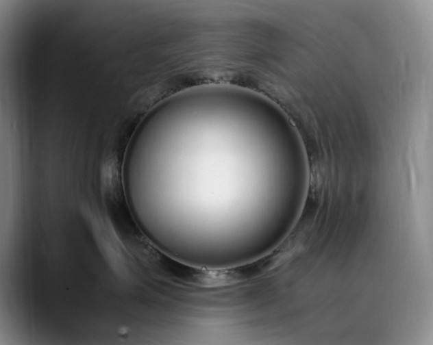 X0000089890623200707121832