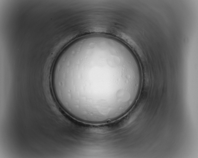 X0000089890625200707121831