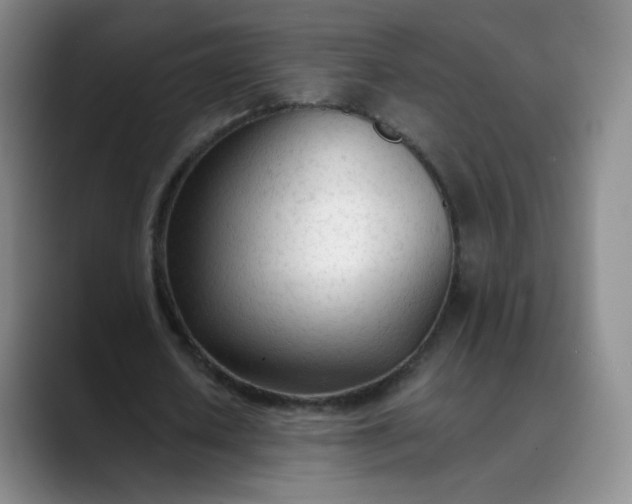 X0000089890626200707121831