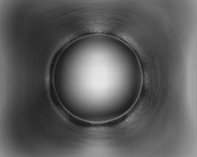 X0000089890630200707121832