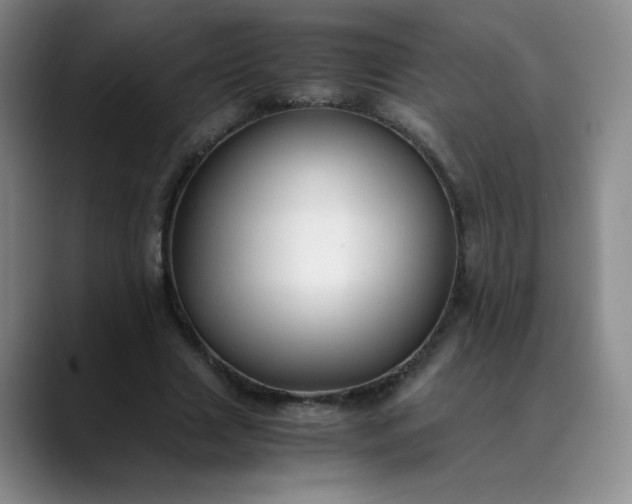 X0000089890633200707121832