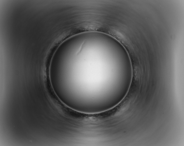 X0000089890634200707121832