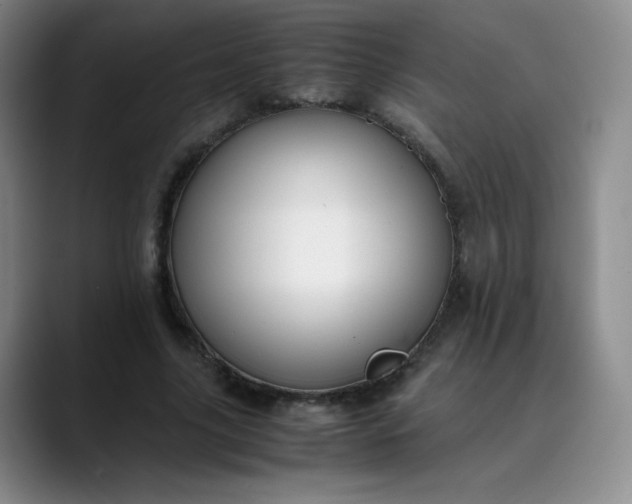 X0000089890635200707121832