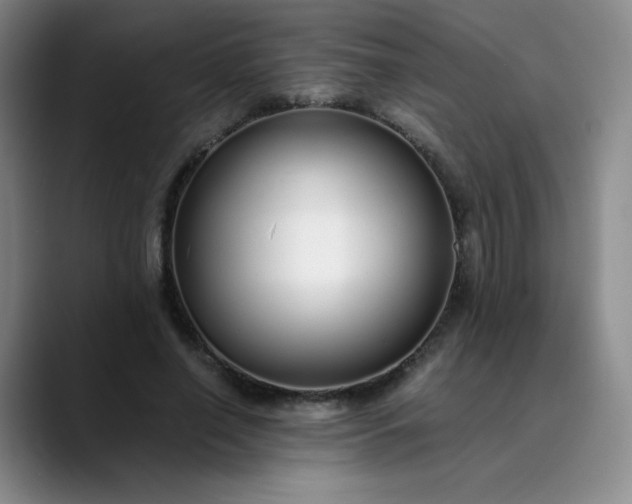 X0000089890638200707121832