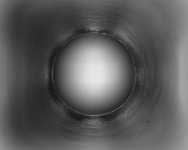 X0000089890639200707121832