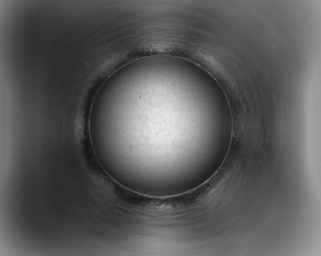 X0000089890640200707121832