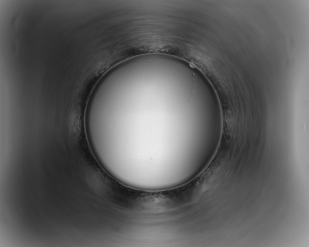 X0000089890642200707121832