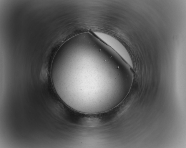 X0000089890644200707121832