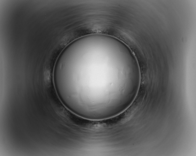 X0000089890646200707121832