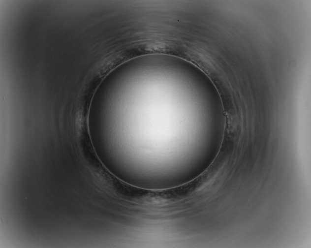 X0000089890648200707121832