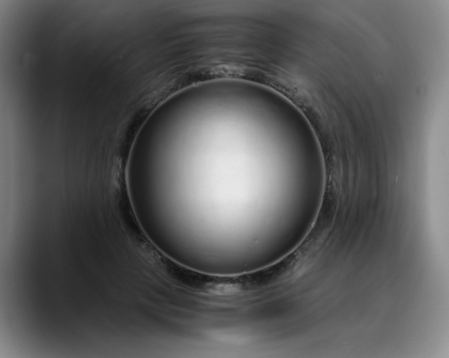 X0000089890649200707121832