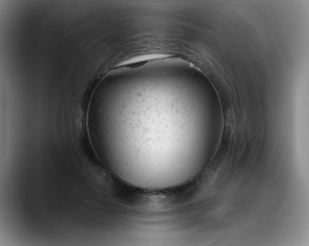 X0000089890650200707121832