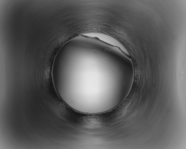 X0000089890652200707121832