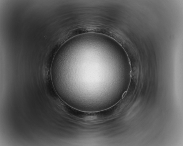 X0000089890653200707121832