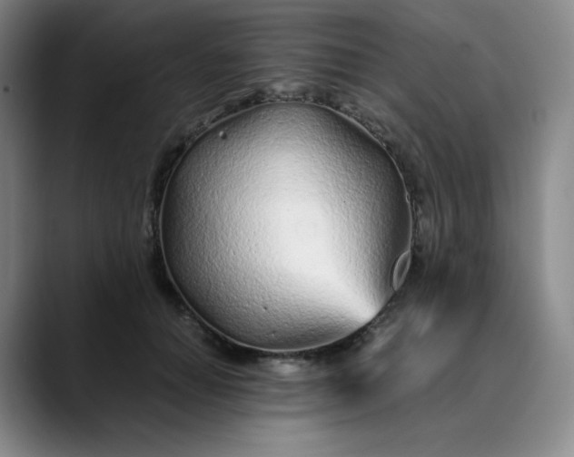 X0000089890654200707121832