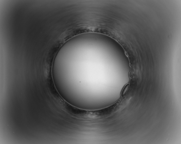 X0000089890656200707121832