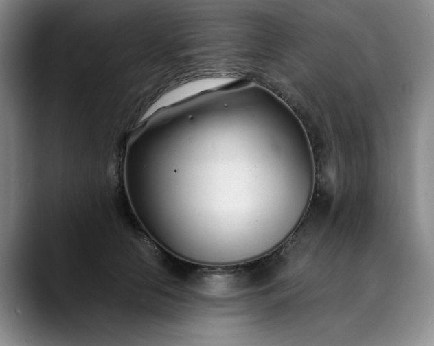 X0000089890658200707121832