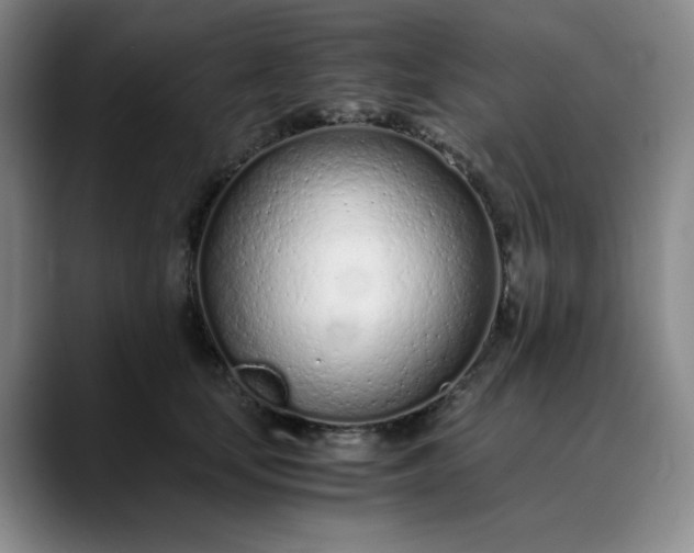 X0000089890659200707121832