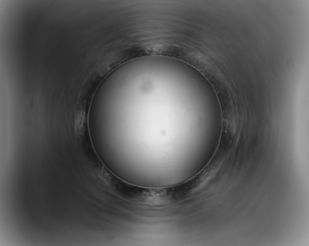 X0000089890660200707121832