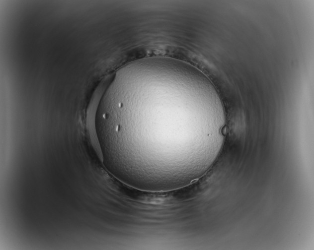 X0000089890661200707121832