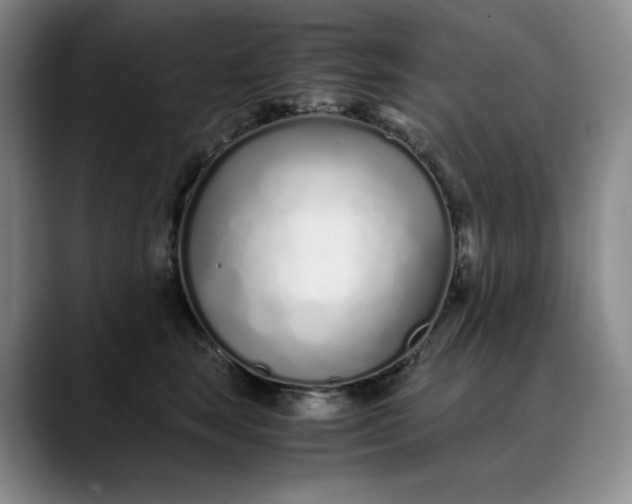 X0000089890663200707121832