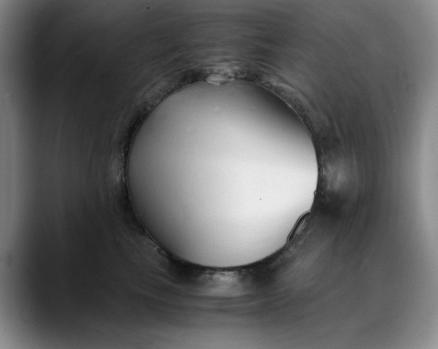 X0000089890665200707121832