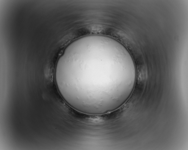 X0000089890666200707121832