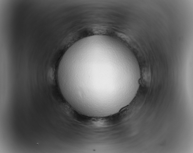 X0000089890667200707121832