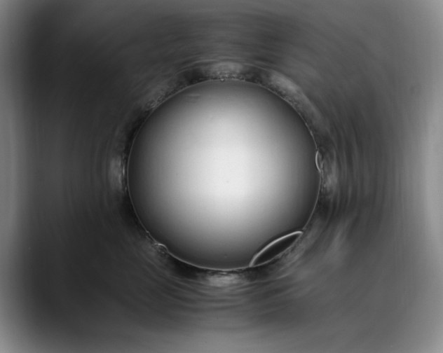 X0000089890669200707121832