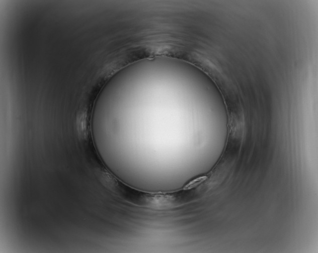 X0000089890670200707121832