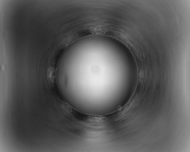 X0000089890671200707121832