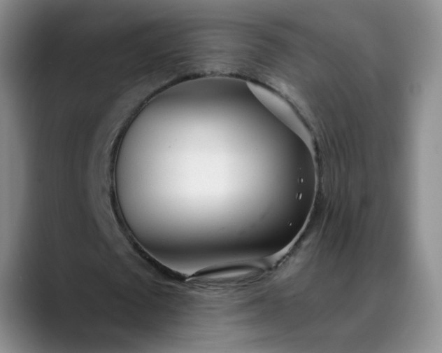 X0000089890673200707121831