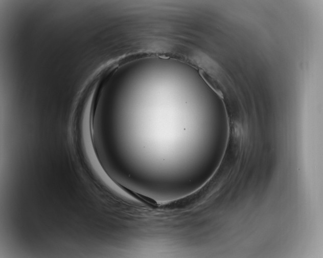 X0000089890676200707121831