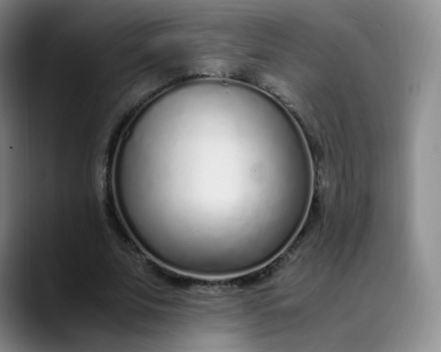 X0000089890679200707121831