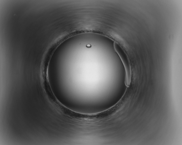 X0000089890680200707121831