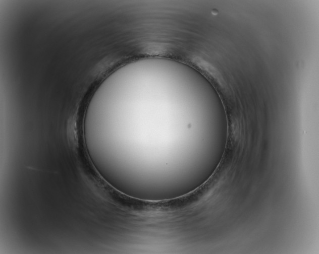 X0000089890682200707121831