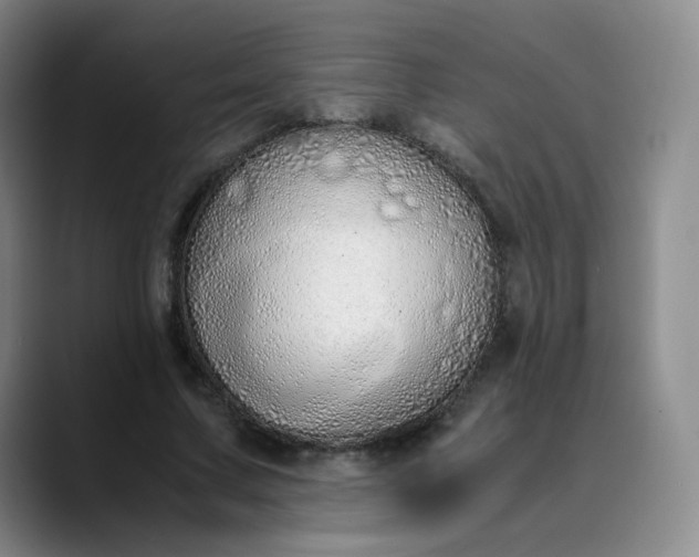 X0000089890683200707121831