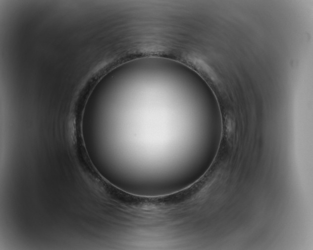 X0000089890684200707121831