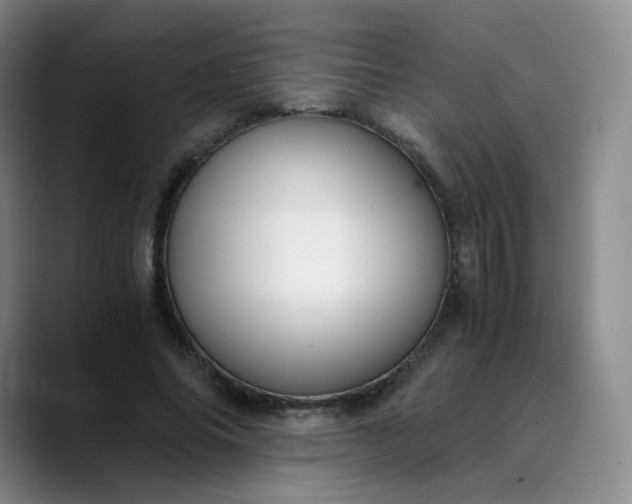 X0000089890686200707121831