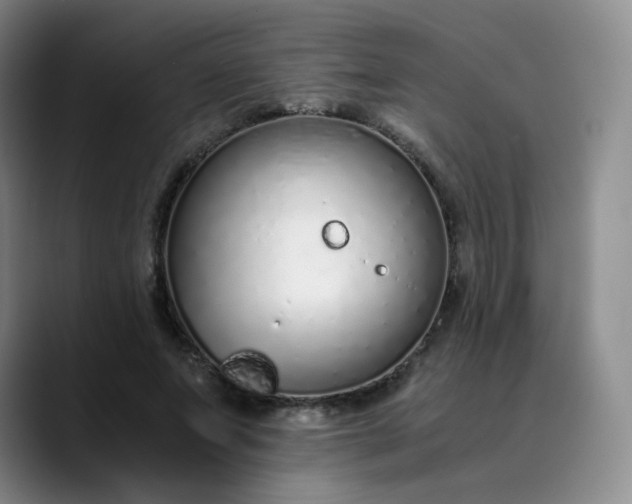 X0000089890687200707121831