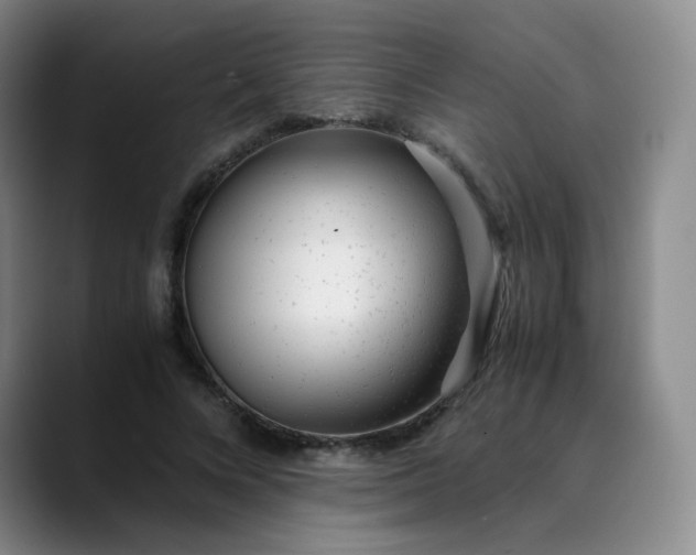 X0000089890688200707121831