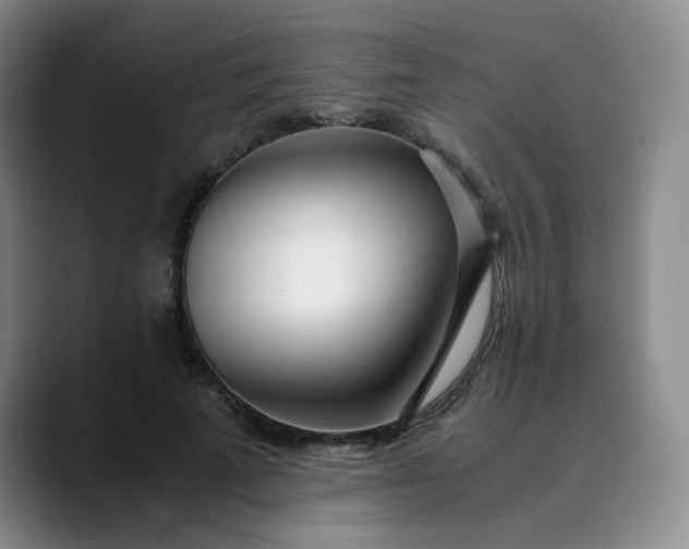 X0000089890689200707121831