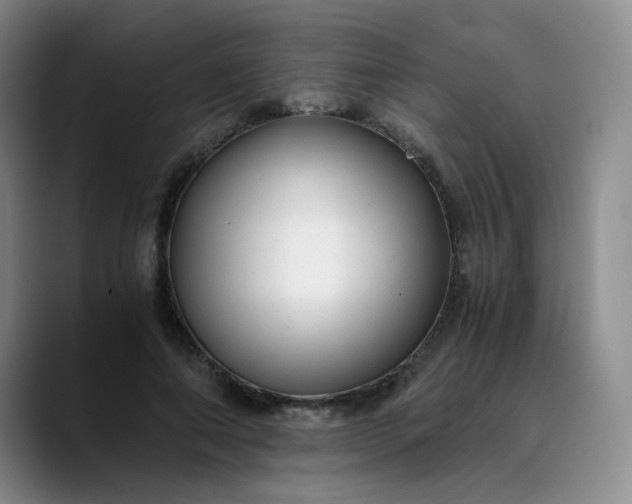 X0000089890690200707121831