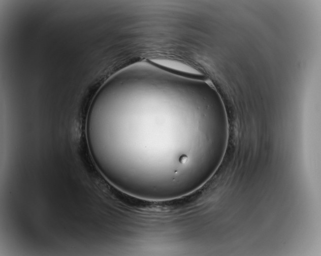 X0000089890691200707121831