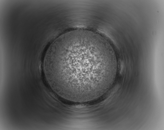 X0000089890692200707121831